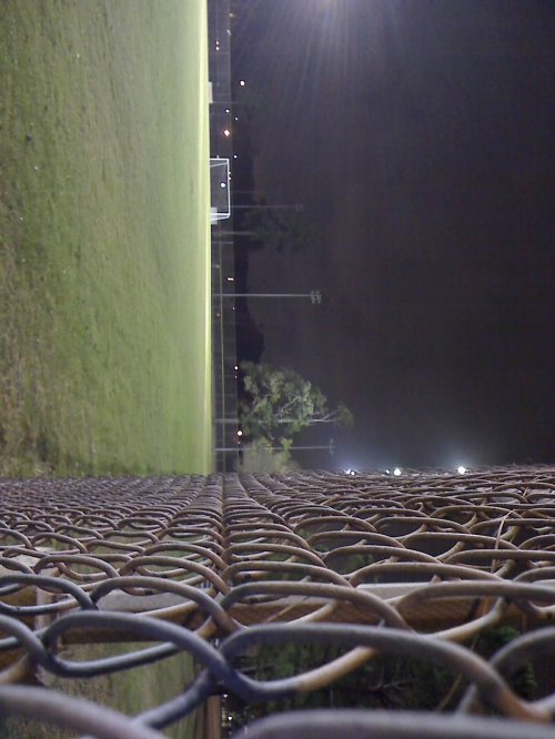 memorial park soccer fields