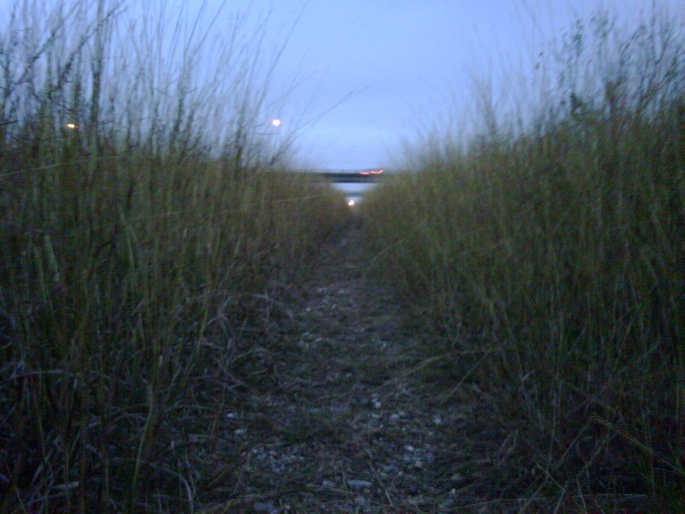 img00363-20090101-1740