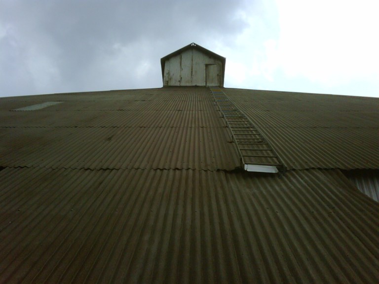 img00950-20090503-1414