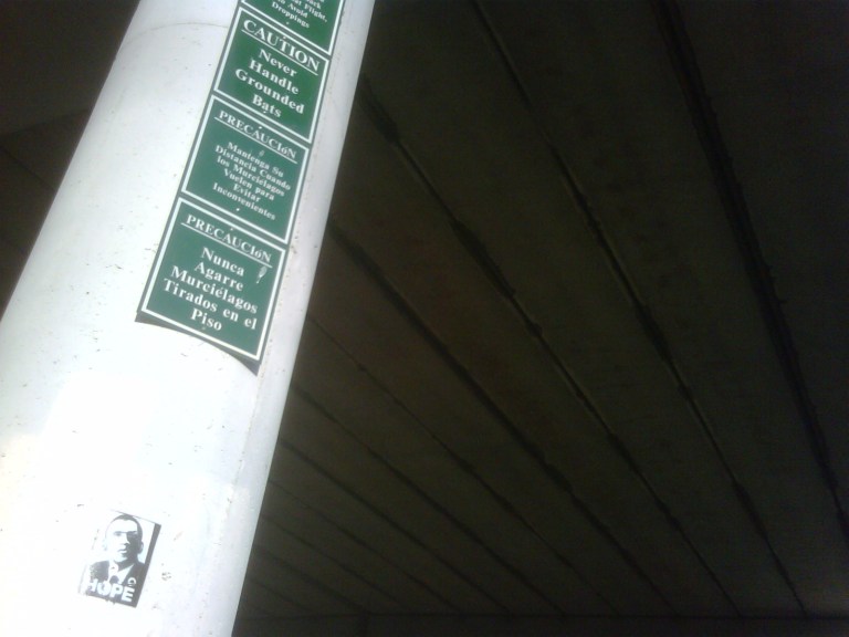 IMG00156-20090616-1921