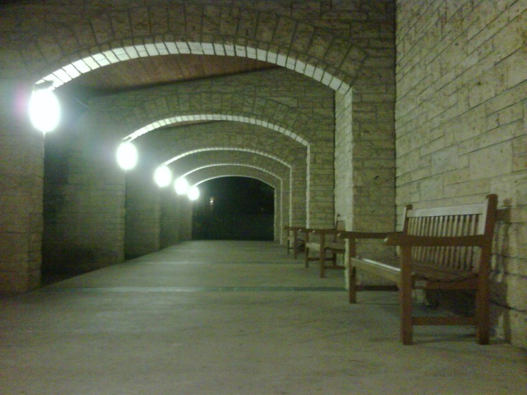 IMG00253-20090627-2131