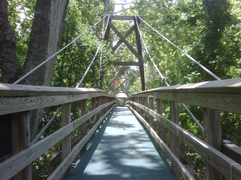 IMG00263-20090628-1127