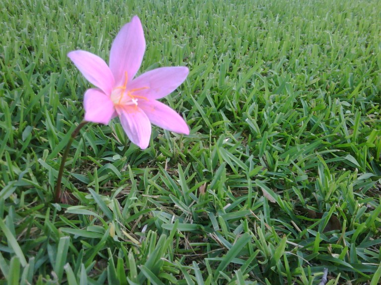 IMG00568-20090727-1925