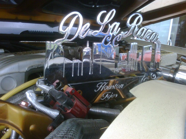 IMG00654-20090809-1605