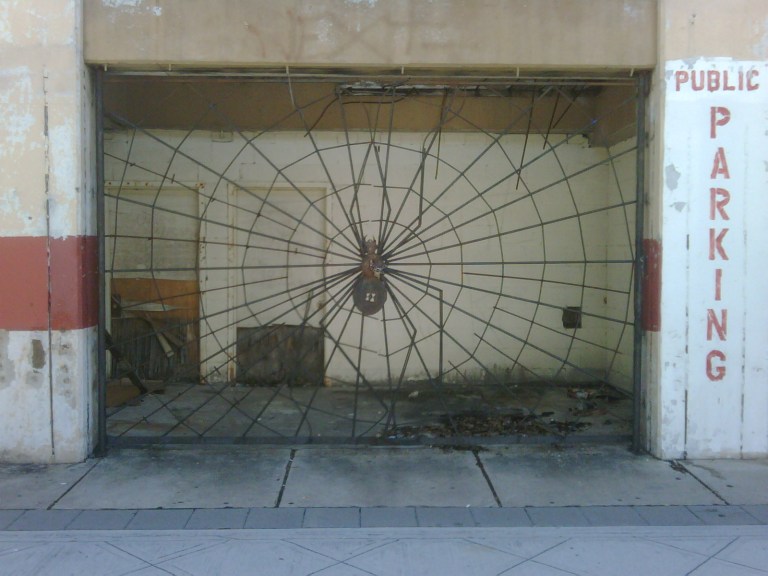 IMG00730-20090822-1114