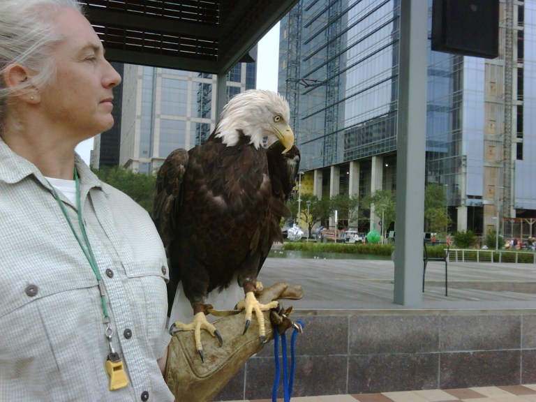 IMG01161-20091010-1158