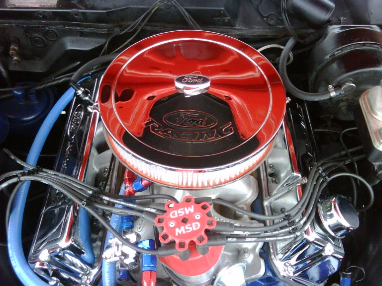 IMG01167-20091010-1359