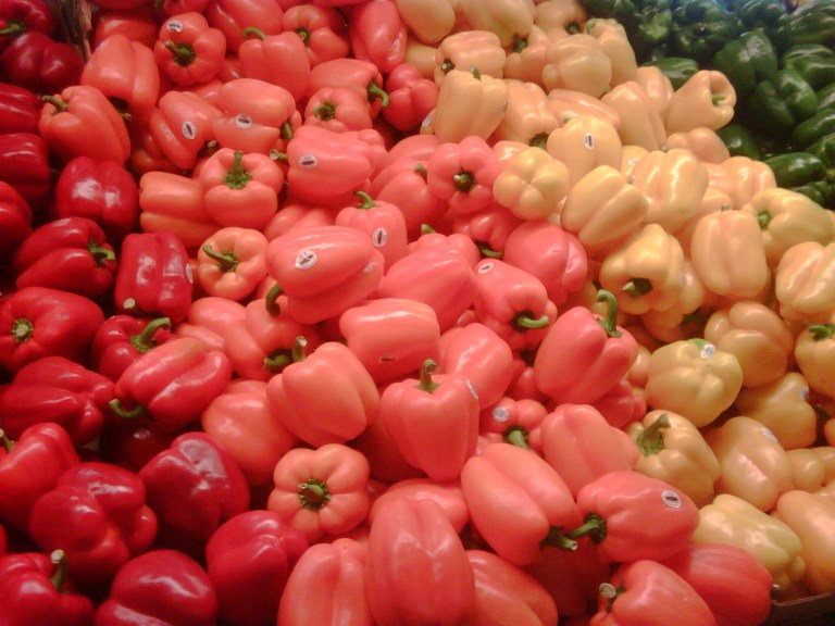 IMG01329-20091025-1123