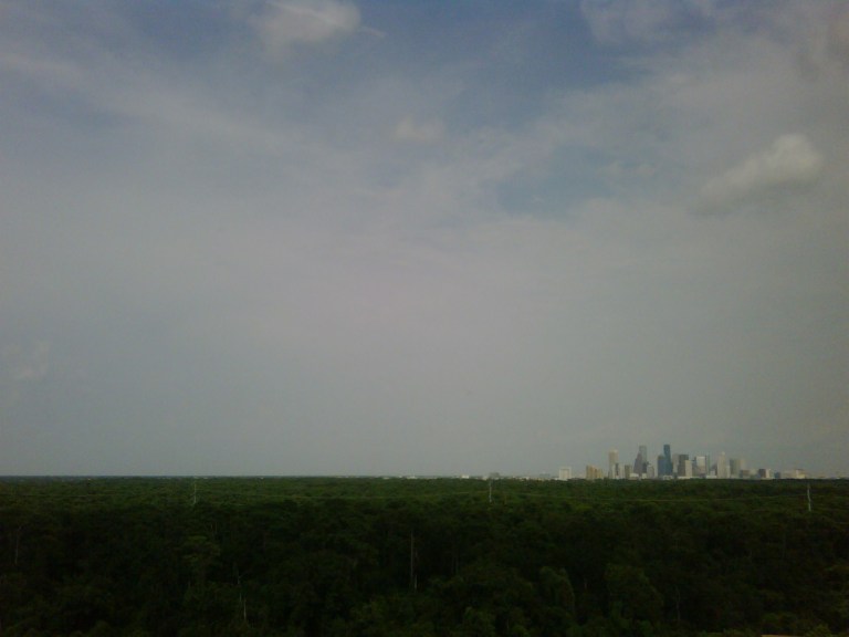 welcome to the jungle in houston