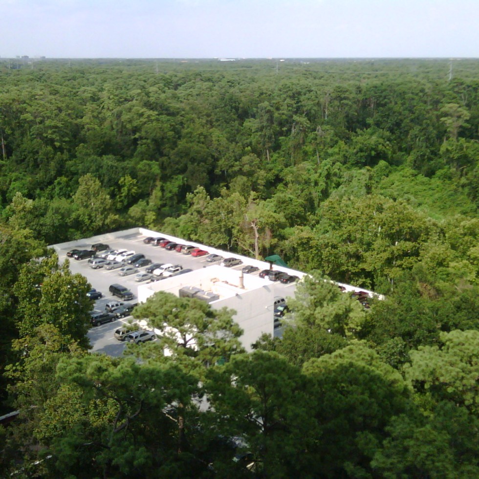 buffalo bayou tree top parking in memorial park