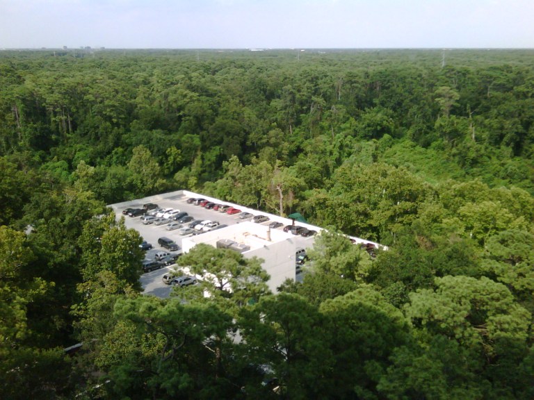 buffalo bayou tree top parking in memorial park