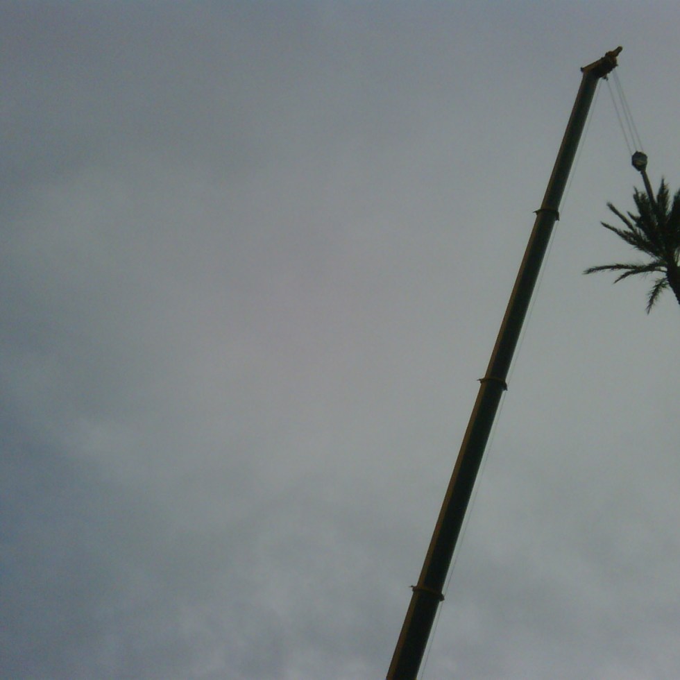 all dogs goto heaven