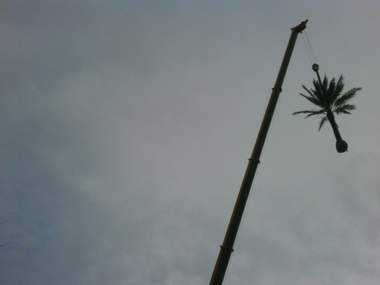 all dogs goto heaven