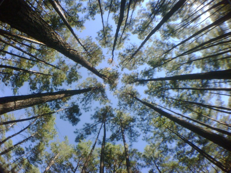 What lies above the Lone Star Trail