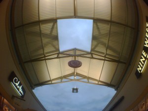 Phone Camera with Fisheye lens