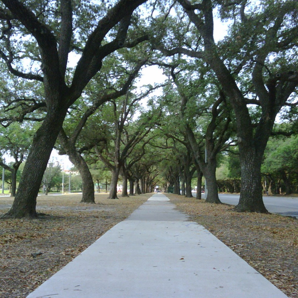 Hermann Park