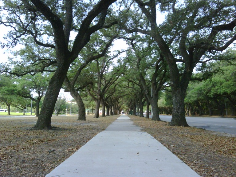 Hermann Park