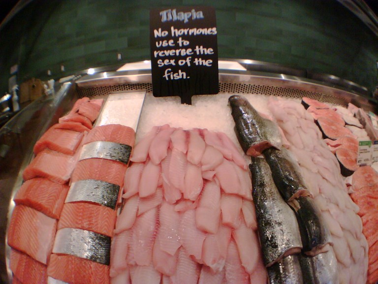 No hormones use to reverse the sex of the fish?