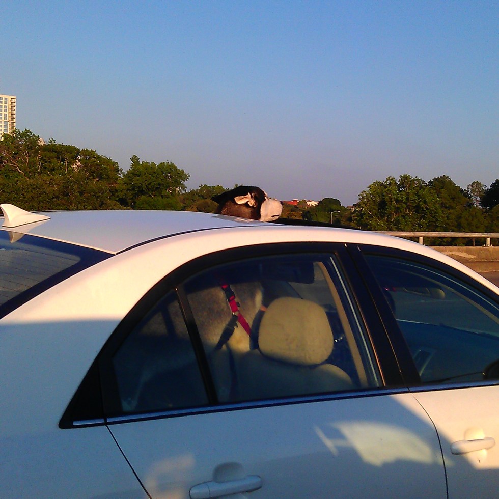 Driving down Shepherd