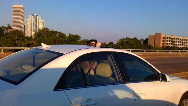 Driving down Shepherd