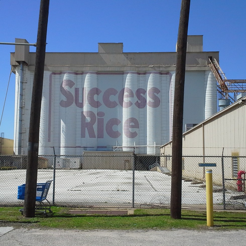 success rice